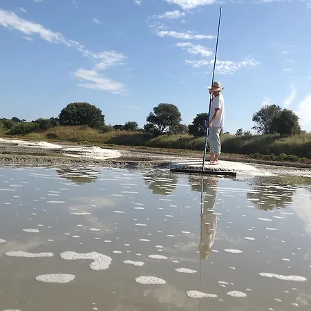 La Balade Des Marais