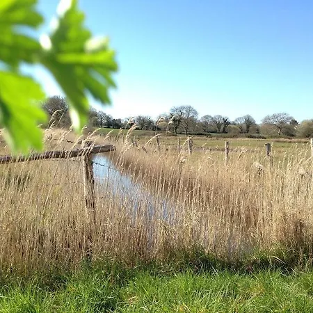 La Balade Des Marais Saint-Molf