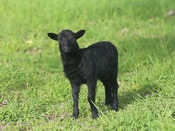 La Balade Des Marais 3*