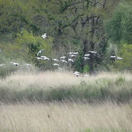 La Balade Des Marais 3*