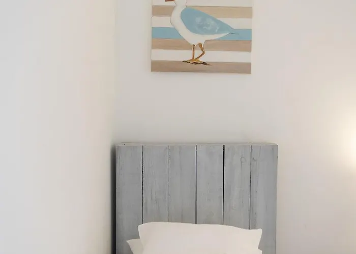 La Balade Des Marais Saint-Molf