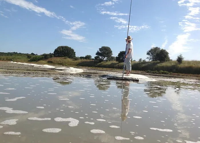 La Balade Des Marais