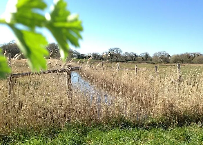 La Balade Des Marais Saint-Molf