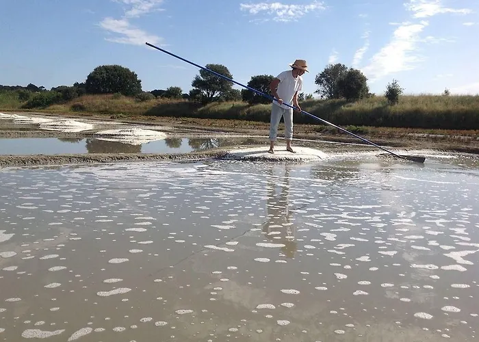 Bed & Breakfast La Balade Des Marais