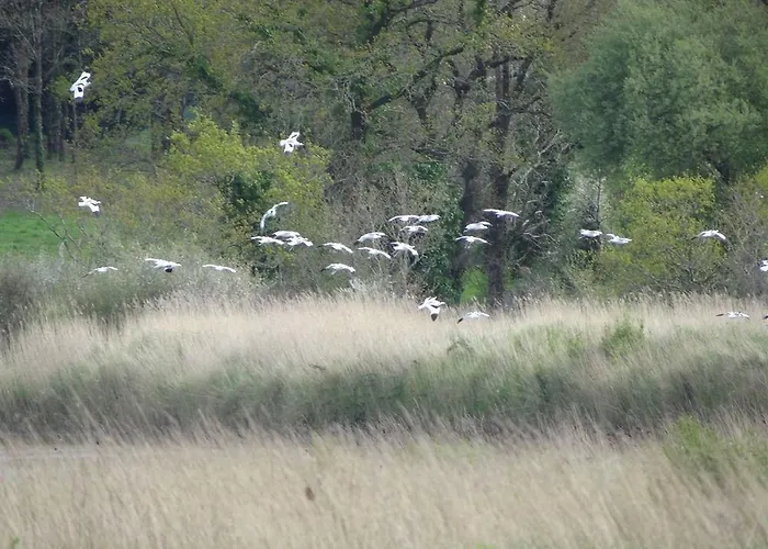La Balade Des Marais 3*
