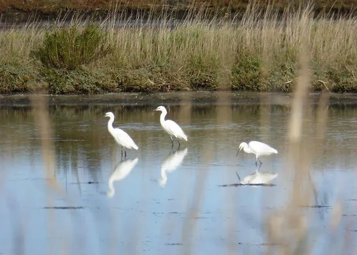 La Balade Des Marais 3*
